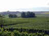 DSC02736.JPG