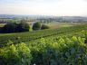 DSC02753.JPG